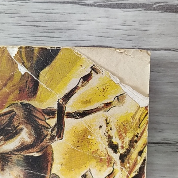 ✴️2 for $10✴️Vintage Paperback Mountain Pony by Henry Larom - Picture 4 of 6